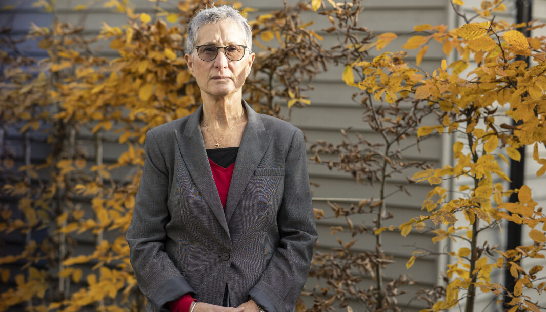 Professor ved institutt for kommunikasjon og kultur Peggy Brønn ved Handelshøyskolen BI. Professor ved institutt for kommunikasjon og kultur Peggy Brønn ved Handelshøyskolen BI.