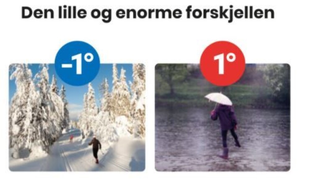 Slik ser anonnsen ut hos Bergens Tidende. Slik ser anonnsen ut hos Bergens Tidende.
