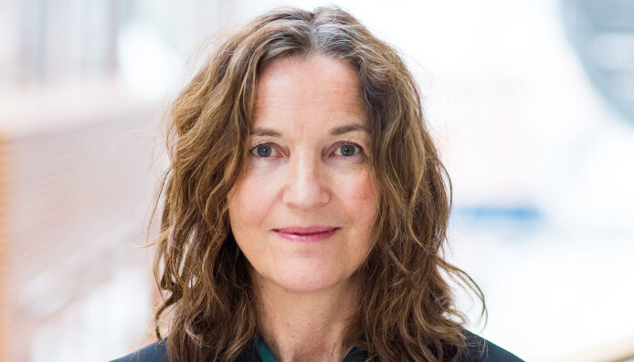 Irina Eidsvold-Tøien sier at krav om erstatning kan i verste fall bli konsekvensen om en bedrift bruker bildene ulovlig. Irina Eidsvold-Tøien sier at krav om erstatning kan i verste fall bli konsekvensen om en bedrift bruker bildene ulovlig.