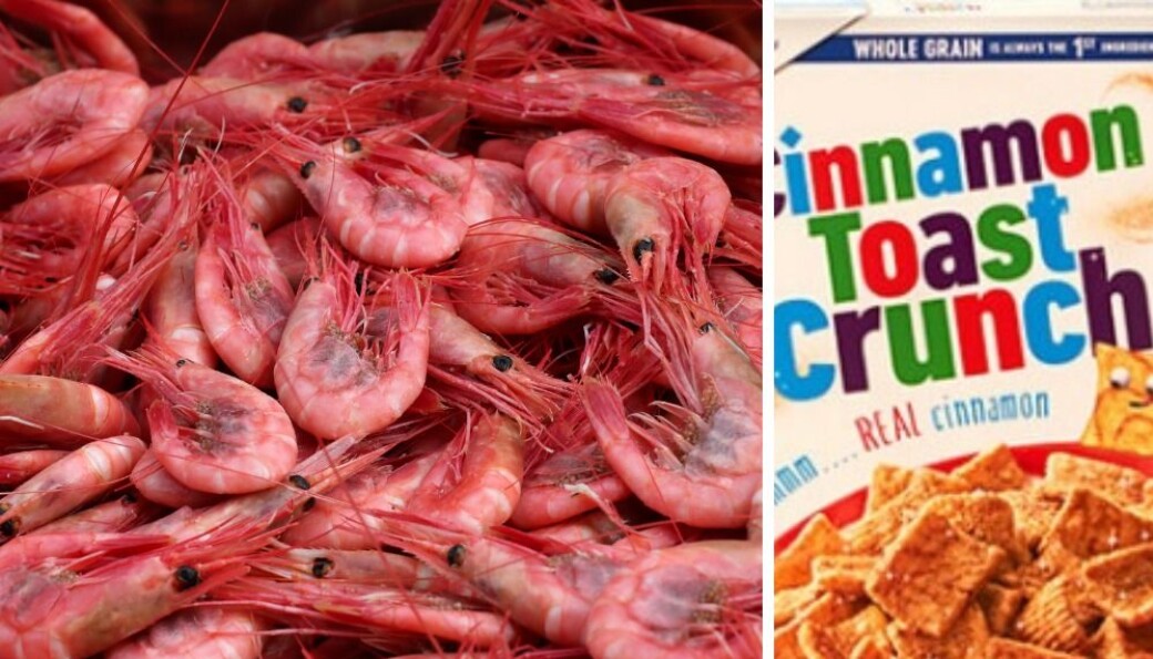 Når du kjøper frokostblanding er det ikke rekehaler og rotteavføring du vil finne. Det hevder Jensen Karp han gjorde. Nå har det blitt et fenomen på internett. Når du kjøper frokostblanding er det ikke rekehaler og rotteavføring du vil finne. Det hevder Jensen Karp han gjorde. Nå har det blitt et fenomen på internett.