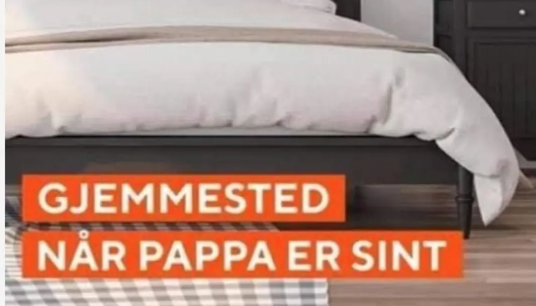Det er denne Facebook-annonsen, fra Stine Sofies Stiftelse, Lotte Hoel reagerer på. Det er denne Facebook-annonsen, fra Stine Sofies Stiftelse, Lotte Hoel reagerer på.