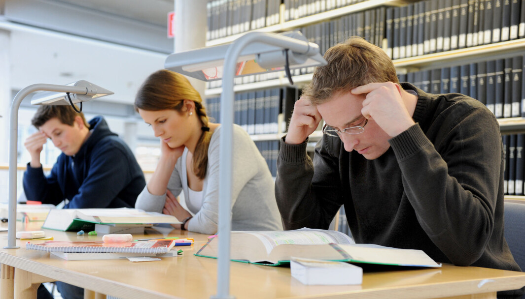 Illustrasjonsbilde: Kvinne og to mannlige medstudenter sitter konsentrert over pensumbøkene sine. Foto: Frank May / NTB Illustrasjonsbilde: Kvinne og to mannlige medstudenter sitter konsentrert over pensumbøkene sine. Foto: Frank May / NTB