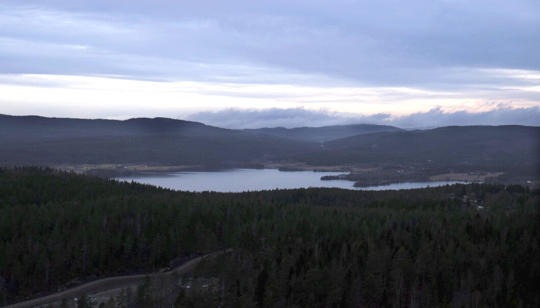 Maridalsvannet er den største innsjøen i Oslo kommune, plassert i Maridalen, mellom Nordmarka og Lillomarka. Vannet er Oslos viktigste drikkevannskilde og dekker ca. 90 prosent av Oslos vannforbruk. Maridalsvannet er den største innsjøen i Oslo kommune, plassert i Maridalen, mellom Nordmarka og Lillomarka. Vannet er Oslos viktigste drikkevannskilde og dekker ca. 90 prosent av Oslos vannforbruk.