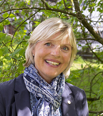 Eva Hille Eva Hille