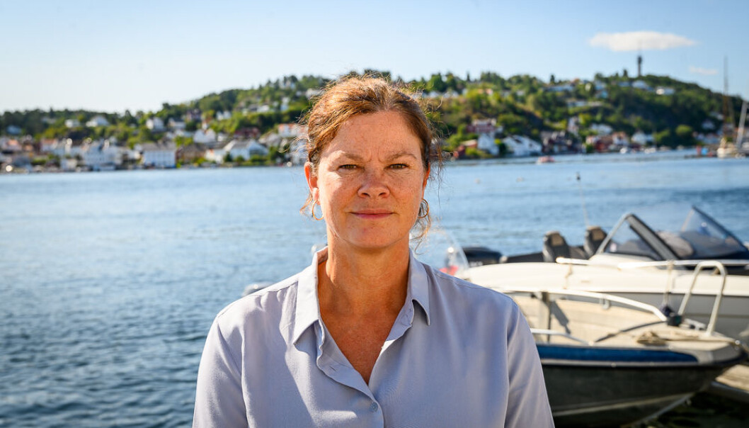 Kommunikasjonsdirektør Christina Rolfheim-Bye i Folkehelseinstituttet. Kommunikasjonsdirektør Christina Rolfheim-Bye i Folkehelseinstituttet.