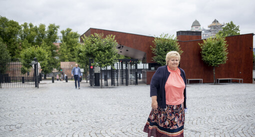 Erna Solberg støtter Arne-aksjonen på LinkedIn