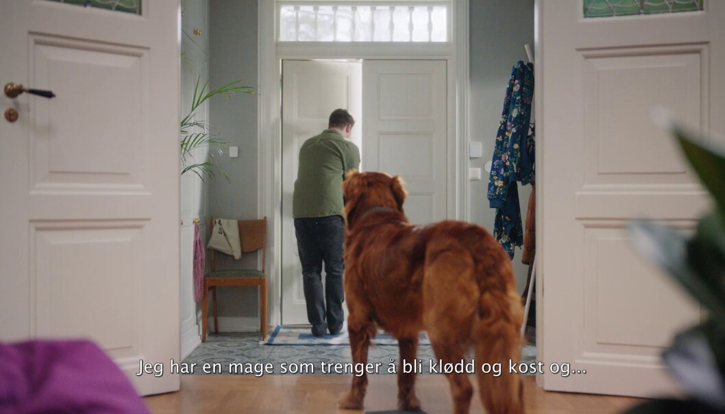 Lotto-hunden Otto er svært populær. Lotto-hunden Otto er svært populær.