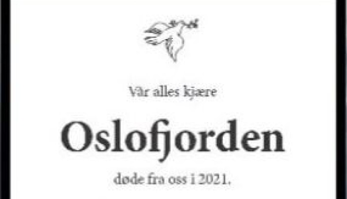 Slik ser anonnsen ut. Slik ser anonnsen ut.