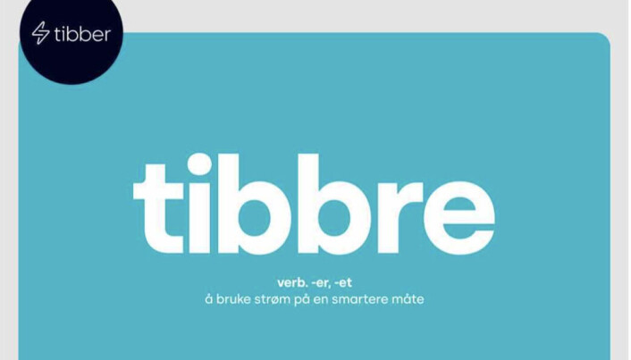 Anja Regine Oddmarsdatter Schönhaug i Netlife fikk denne mailen fra Tibber. Det synes hun var superkleint. Anja Regine Oddmarsdatter Schönhaug i Netlife fikk denne mailen fra Tibber. Det synes hun var superkleint.