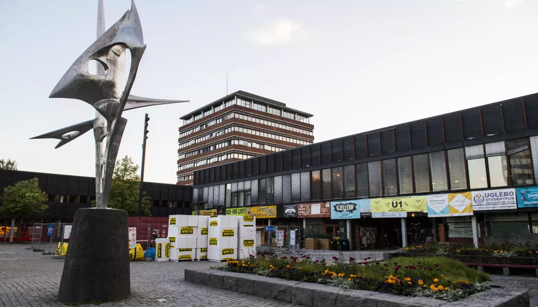 Eiendomsavdelingen er ansvarlig for forvaltning, drift, vedlikehold og utvikling av universitetets eiendomsmasse som omfatter 475 000 m2 egne og 105 000 m2 leide lokaler i hovedsak på Blindern, i sentrum og på Tøyen.