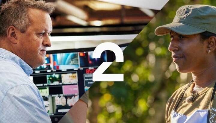 TV 2 søker leder medieoptimalisering