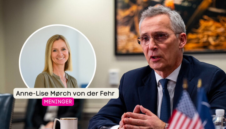 Anne-Lise Mørch von der Fehr skriver om Jens Stoltenberg, norske politikere og tillit.