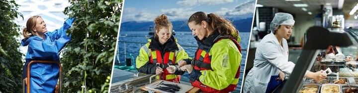 Mattilsynet søker kommunikasjonsrådgiver - SoMe-ansvarlig📱 samlebilde. Mennesker som jobber ute i naturen