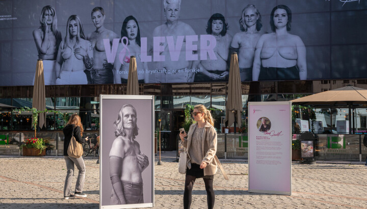 Årets Rosa sløyfe-aksjon frontes av åtte kvinner som alle har, eller har hatt, brystkreft. Kampanjen har fått plass i bybildet.