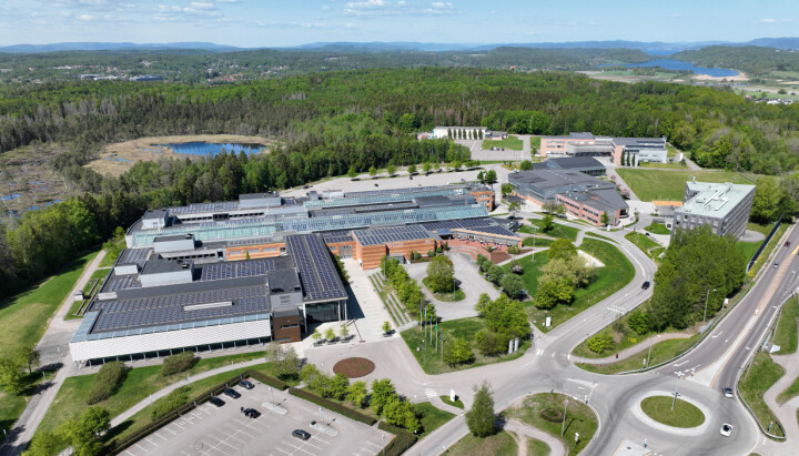 Universitetet i Sør-Norge er på leit etter en ny kommunikasjonsrådgiver.