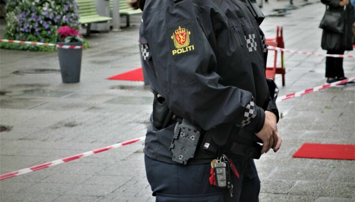 Norsk politi har så langt i 2024 satt i gang etterforskning av elleve drapssaker med i alt fjorten ofre.