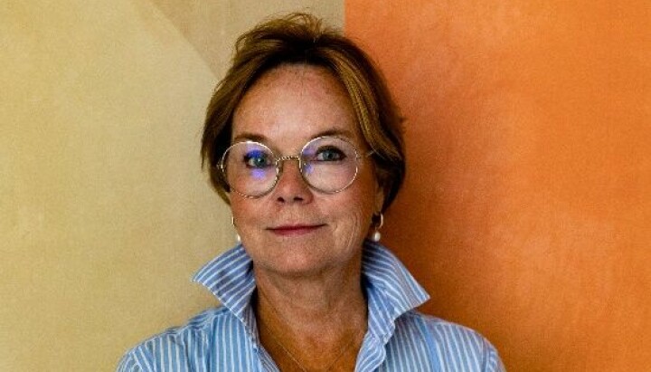 Marie Nilsson hos Mediavision AB