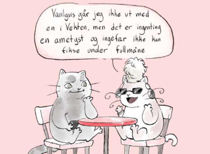 En av de sjarmerende kattillustrasjonene fra Helge Svendsens nye bok, som bringer et personlig og humoristisk preg til temaet kjærlighet.
