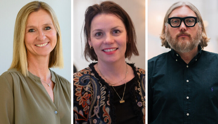 Fra venstre: Anne-Lise Mørch von der Fehr, Vibeke Lewin og Anders Olof Larsson.