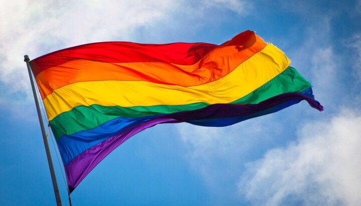 Pride-måneden er i gang, og regnbuefargene vaier – men ikke alle selskaper lar det synes i år.