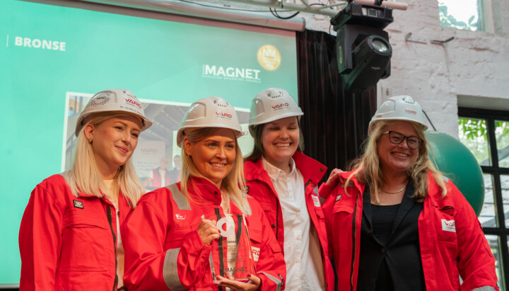 Bronse i «årets kampanje erfarne» gikk til kampanjen «Skills» med VARD, Losen Fuglefjellet, Up & Away og Takk for sist.