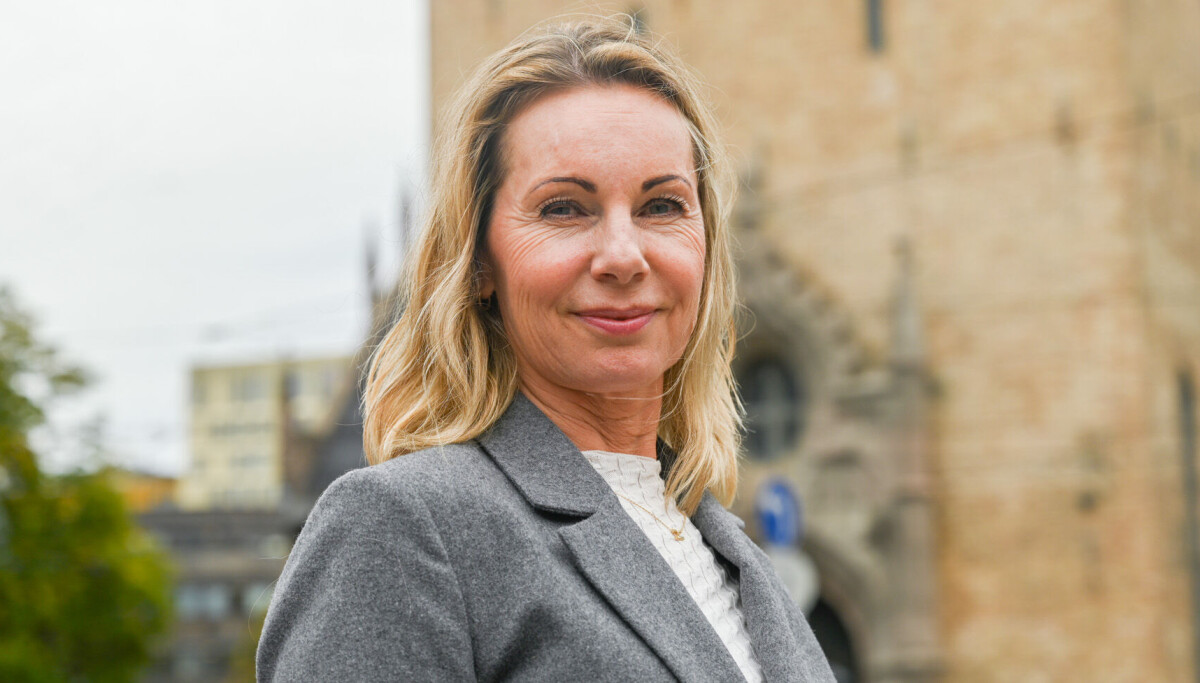 Hanane Sundberg Hanne har flere år med erfaring. Likevel får hun nei etter nei